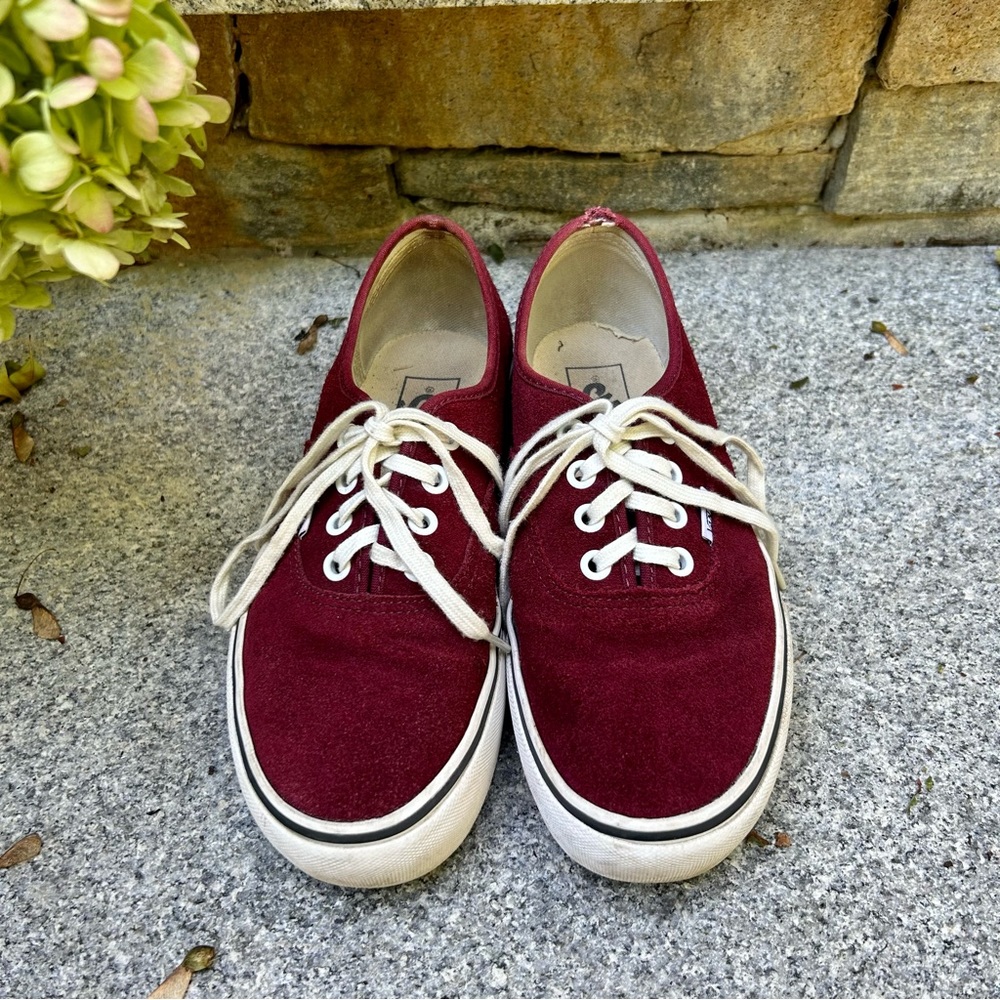 Vans Authentic Skate Shoes